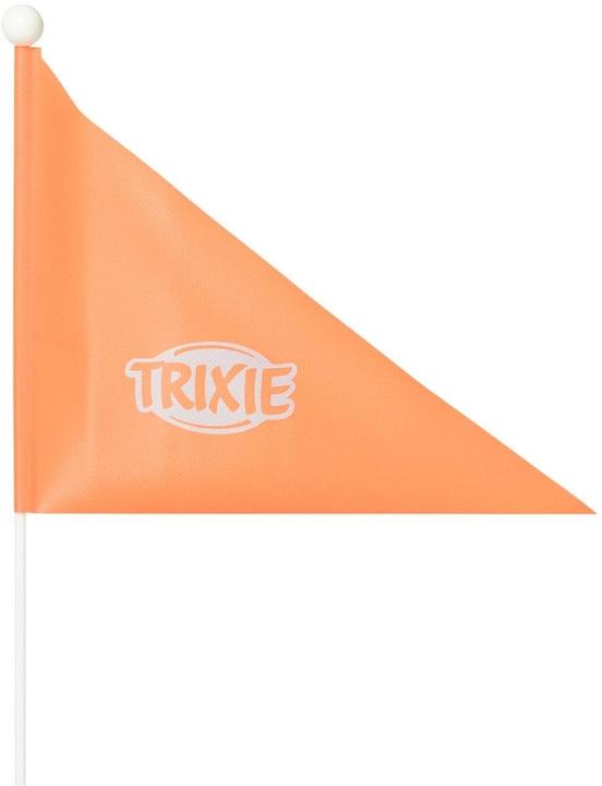 Immagine prodotto Trixie Rimorchio per bicicletta L, 80×103×98/147 cm, grigio/salvia (Cane)