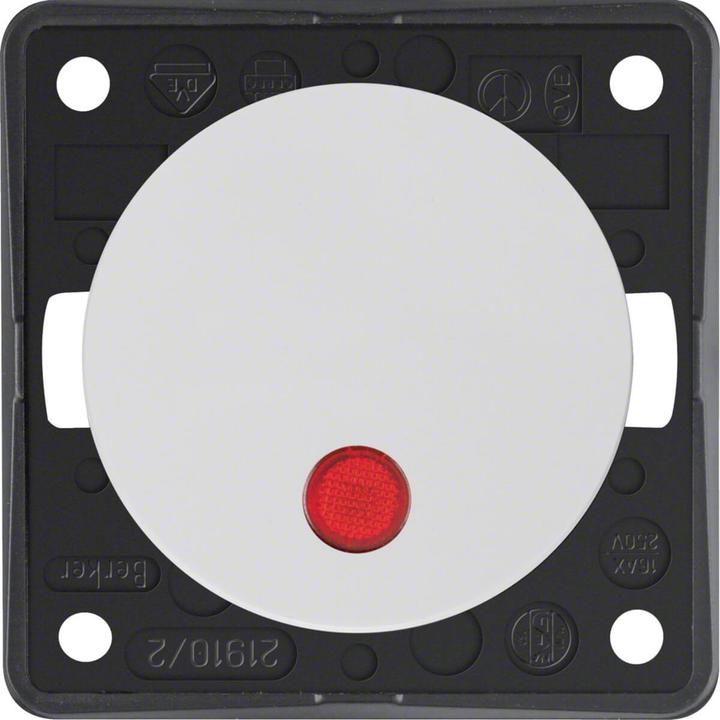 Actual product image Berker Rocker control switch