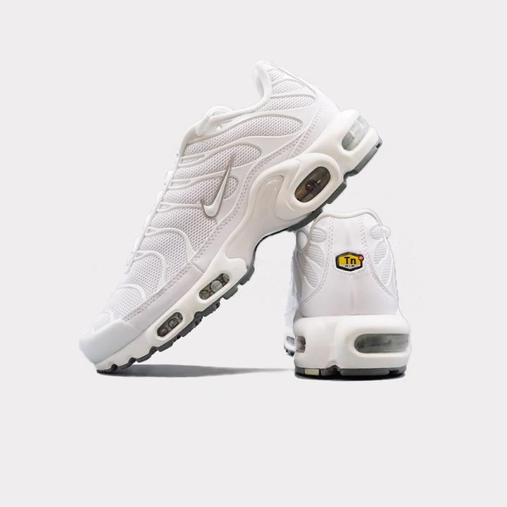 Actual product image Nike Air Max Plus (41)