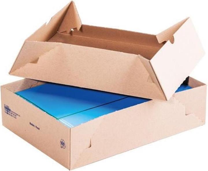 Actual product image Brieger Stand-up box 305 x 215 x 120 mm, 1 piece (21 x 29.5 cm, 1 x)