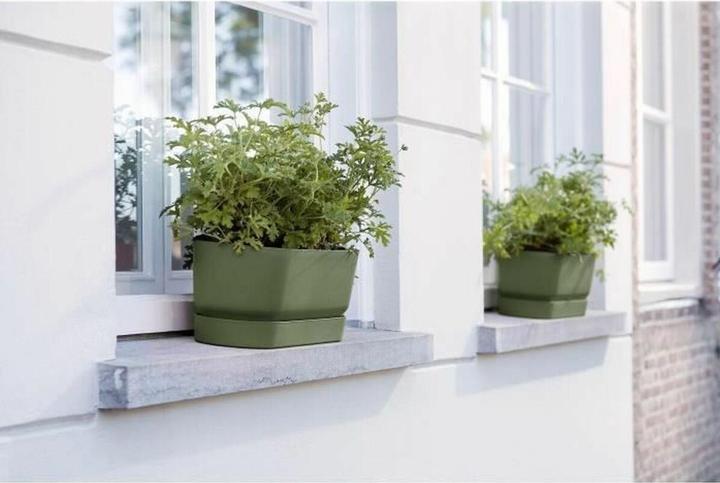 Image du produit Elho Caissette à fleurs (19.10 cm)