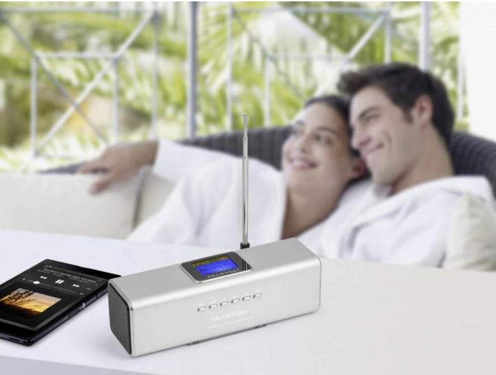 Actual product image Technaxx Bt-X29 (FM, DAB+, Bluetooth)