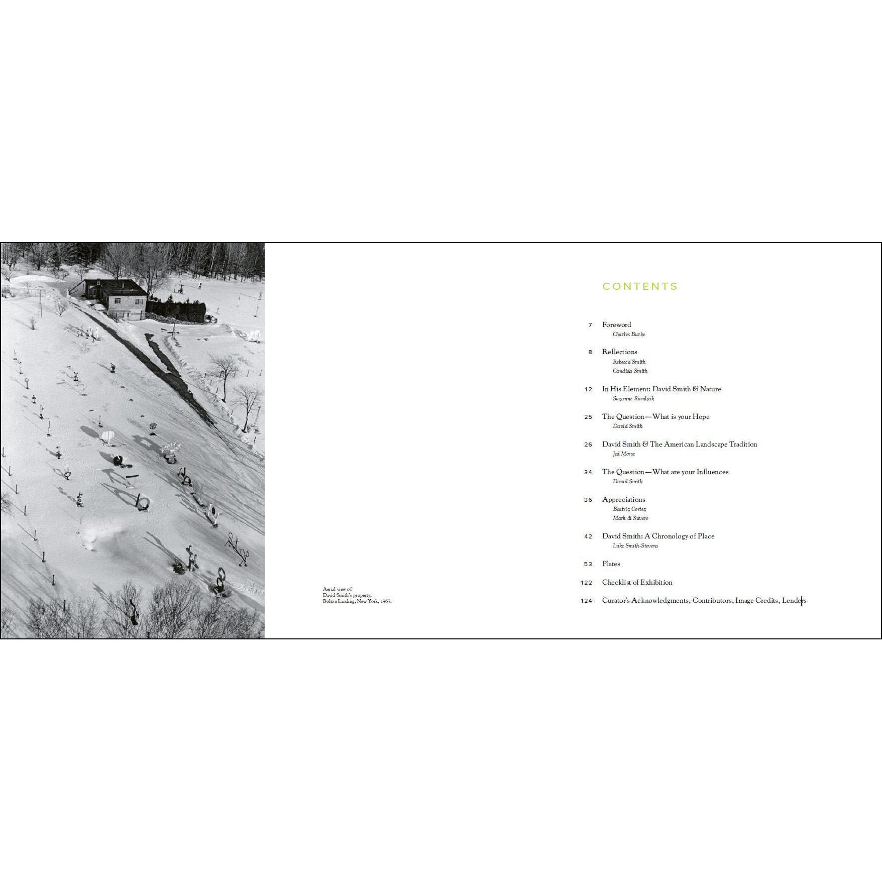 Thumbnail - David Smith, Sachbücher von Suzanne Ramljak