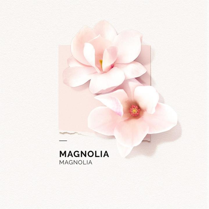 Produktbild Solinotes Magnolia Mini Eau de Parfum (neu) (Eau de Parfum, 15 ml)