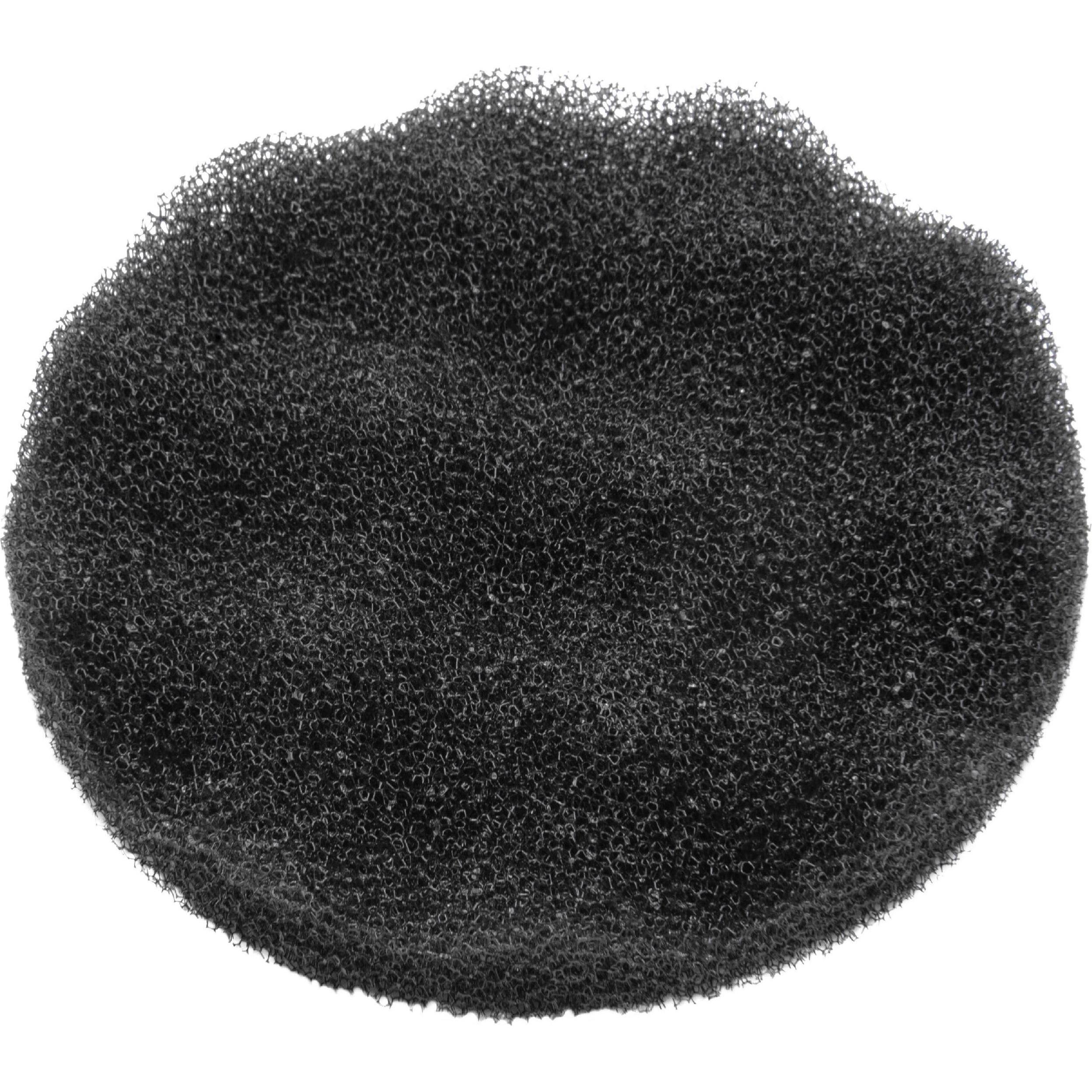 AccuCell Staubsaugerfilter für Staubsauger wie Rowenta RS-RT2241, Schaumstoff Filter, Schaumstoff, Staubsauger Zubehör, ...