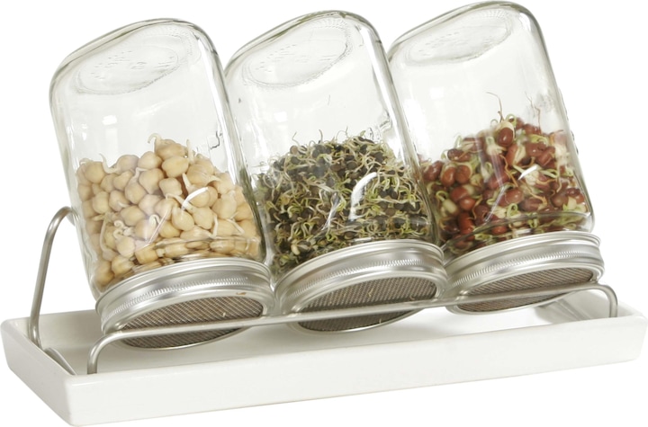 Produktbild Eschenfelder Sprossenglas