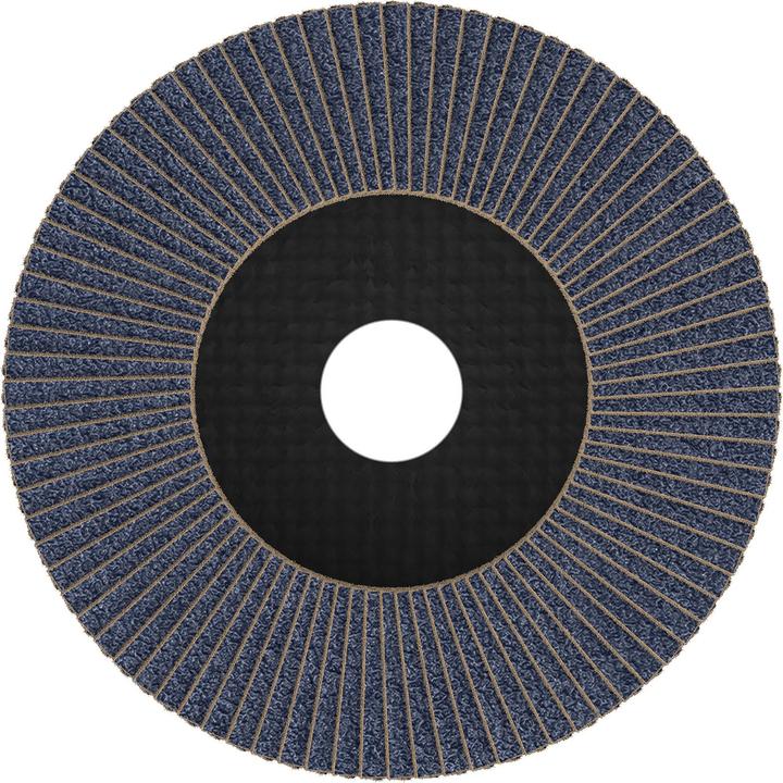 Produktbild Bosch Professional Zubehör PRO X571 Fächerschleifscheibe, 125 mm, G60 (60)