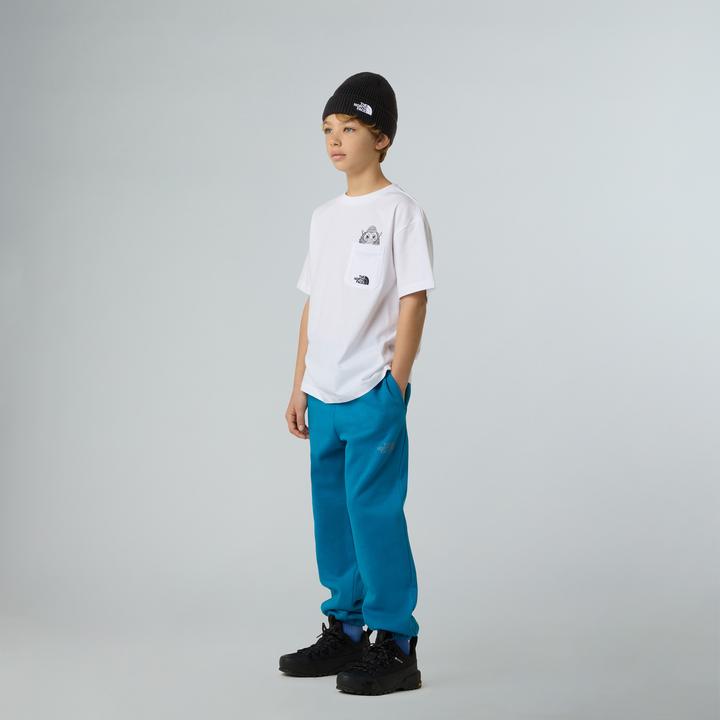 Actual product image North Face Sports Oversized Pocket (146)