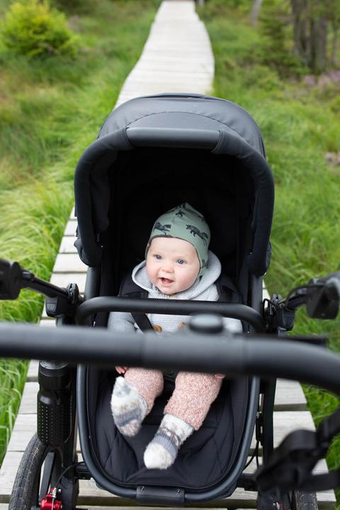 Produktbild TFK Pro Kinderwagen mit Kombieinheit (Wanne/Sitz) - Kollektion 2024