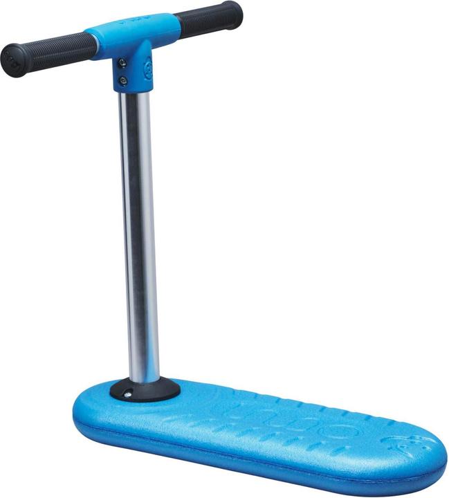 Actual product image Indo Bug