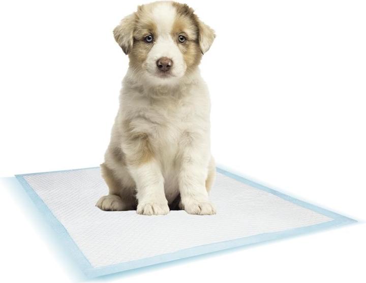 Produktbild Nobby Training Pads (Hund)
