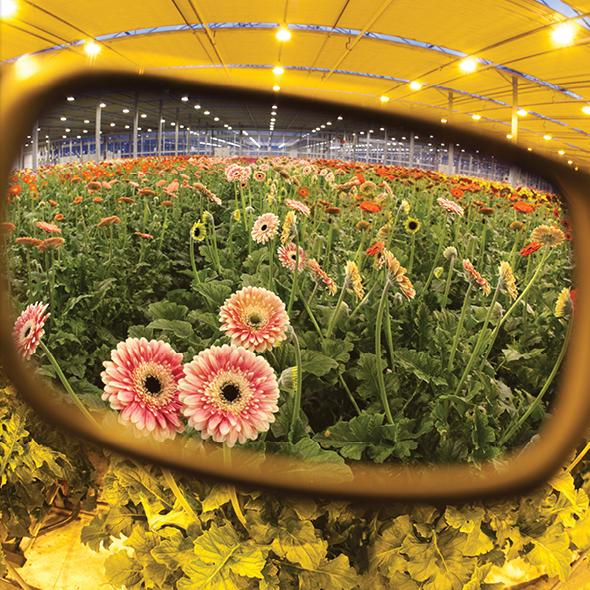 Actual product image Method Seven HPS Camera Filter for Mobile Phone + Tablet