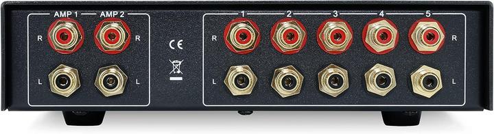 Actual product image Dynavox Input extension switch AUXS PRO silver (Audio Switch)