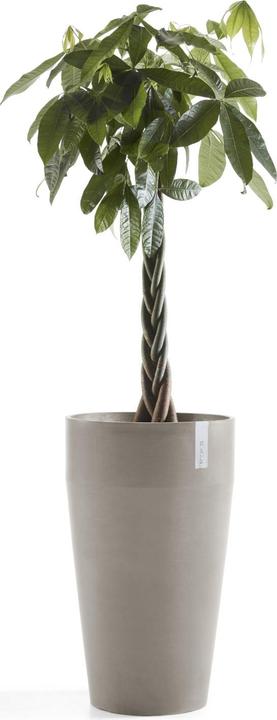 Actual product image Ecopots Sankara