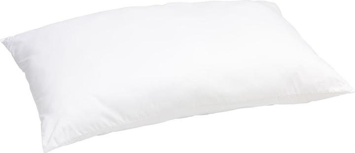 Immagine prodotto Johann Jakob Luna-Primo (65 x 100 cm)