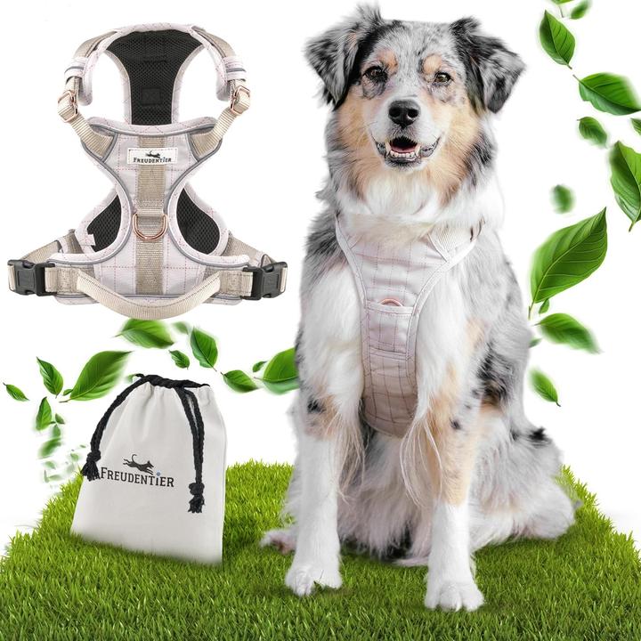 Actual product image Freudentier Clyde (S, Dog, General)