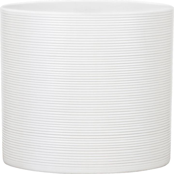 Immagine prodotto Scheurich Panna (12 cm)