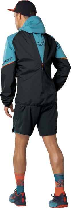 Actual product image Dynafit Alpine Gtx M Jkt (M)