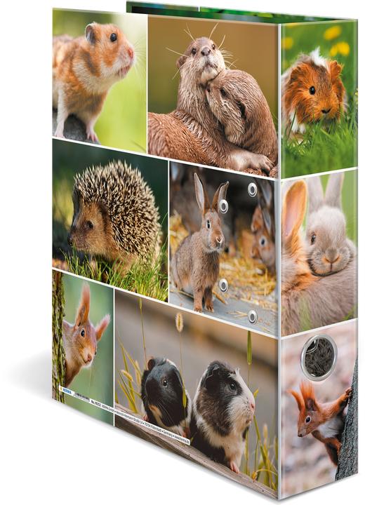 Produktbild HERMA Ordner A4 Motiv (A4, 70 mm, 1 Stk.)