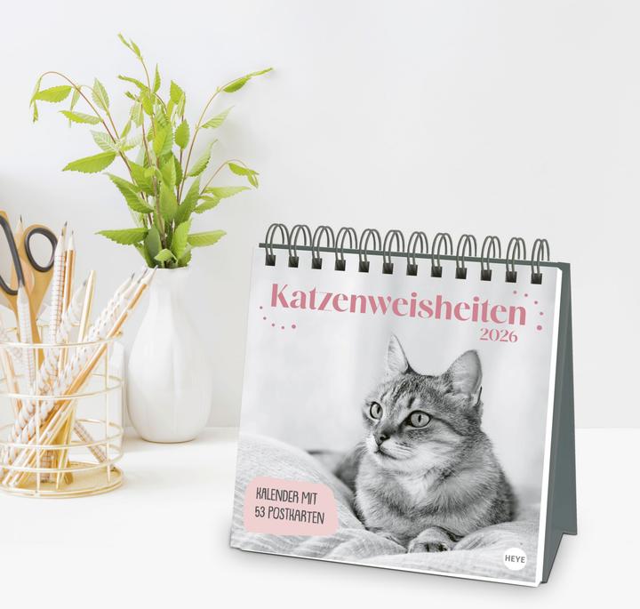 Produktbild Katzen Weisheiten Premium-Postkartenkalender 2026 (16,5 x 17,7 cm)