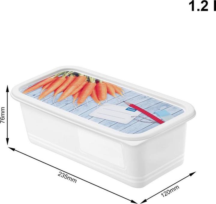 Actual product image Rotho Domino (1.20 l)