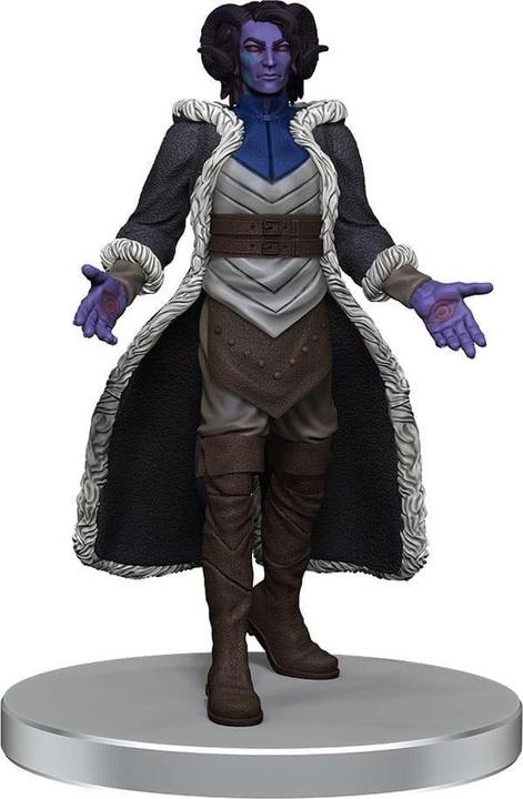 Image du produit Wizkids Critical Role miniatures prépeintes The Tombtakers Boxed Set
