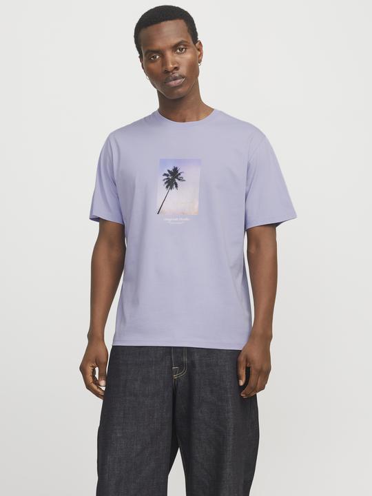 Produktbild Jack & Jones Jorvesterbro Picture Tee Ss Crew Neck Sn (L)