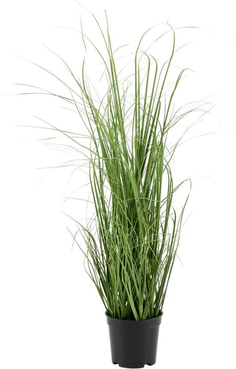 Produktbild Gasper Kunstpflanze (60 cm)