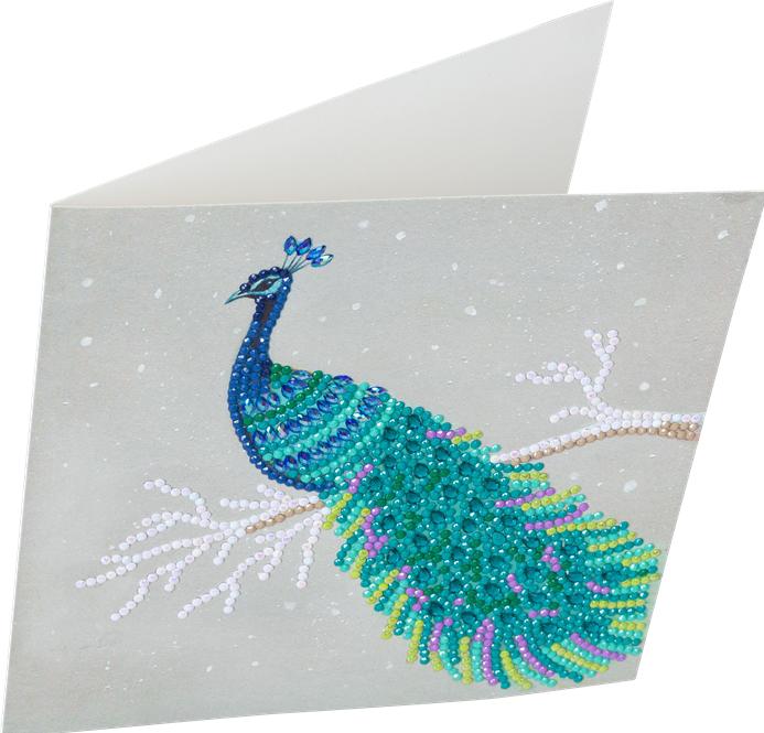 Actual product image Craft Buddy Pretty Peacock