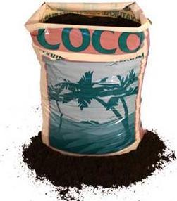 Actual product image Canna Cocos Professional Plus (50 l)