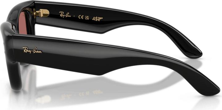 Actual product image Ray Ban Wayfarer buffer