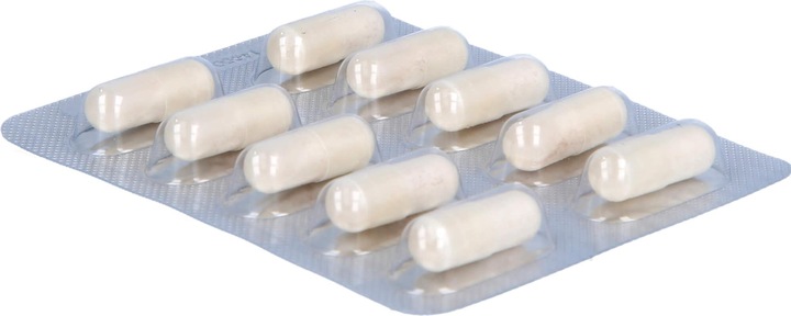 Actual product image Cheplapharm Bactisubtil complex capsules, 50 capsules (50 Piece, Capsules)
