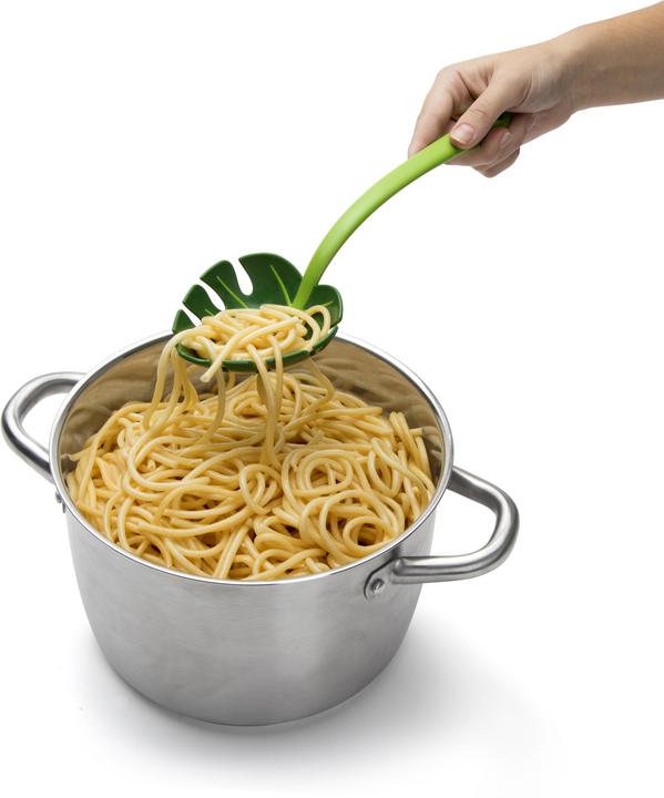 Actual product image Ototo Jungle Spoon