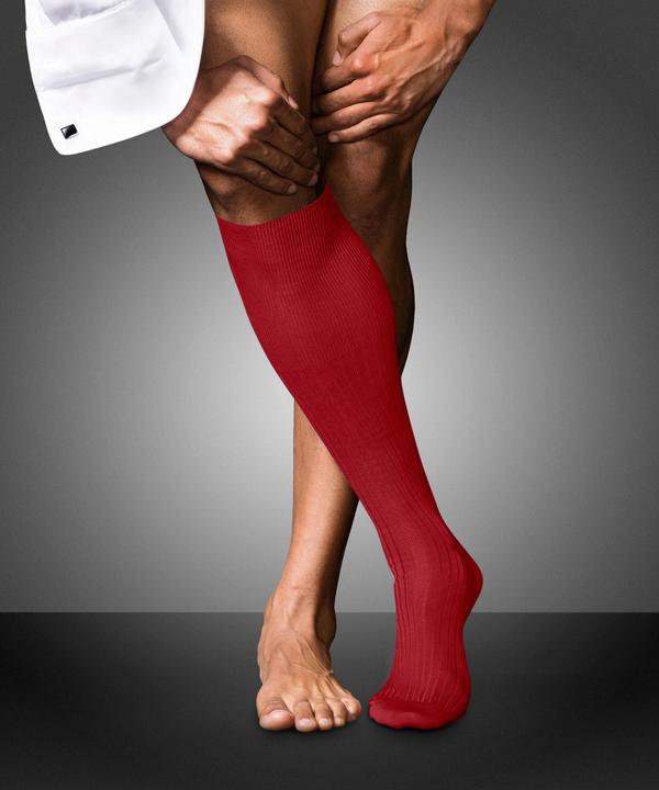 Immagine prodotto Falke No. 10 KH (45 - 46)