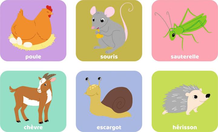 Image du produit Ravensburger Loto (Français)