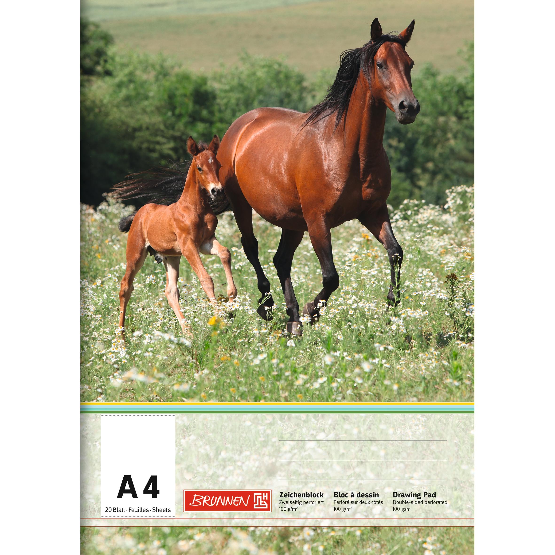 Thumbnail - Brunnen, Heft + Block, Zeichenblock DIN A4 100g/m² 20 Bl. (A4)