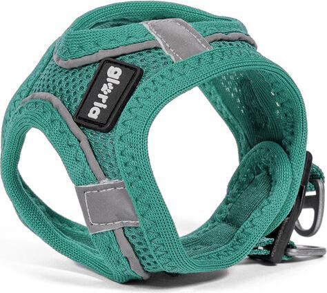 Produktbild Gloria Hundegeschirr Trek Star 27-28 cm 31-34,6 cm türkis XS (XS, Hund)