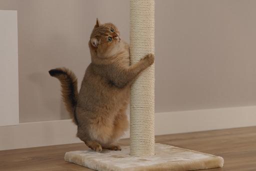 Image du produit Beeztees Gina (90 cm, Beige)