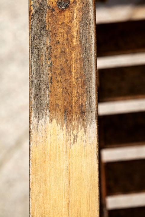 Immagine prodotto Scheppach Spazzola in nylon