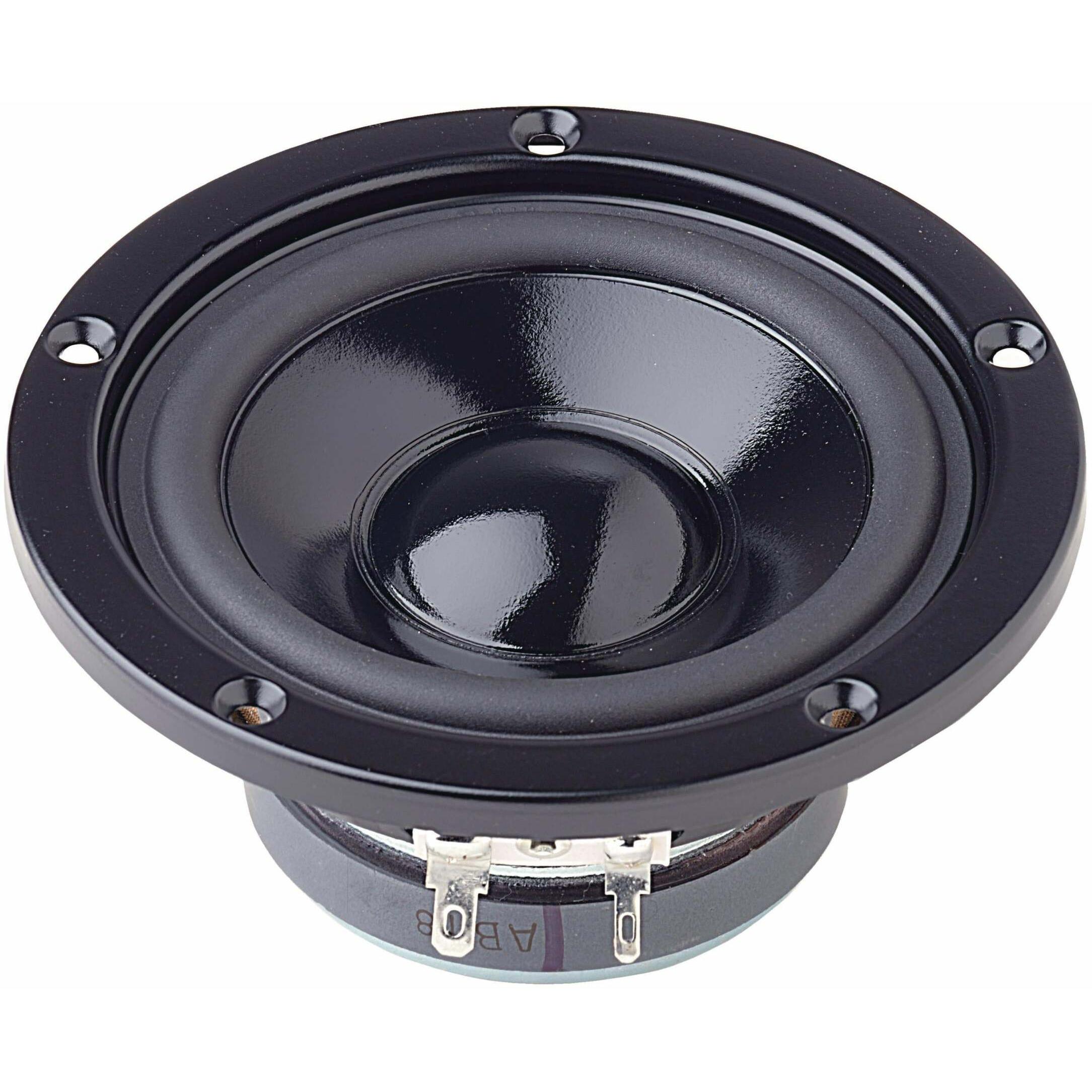 Visaton Driver HiFi medio-basso W 100 S, Componenti dei diffusori, Nero