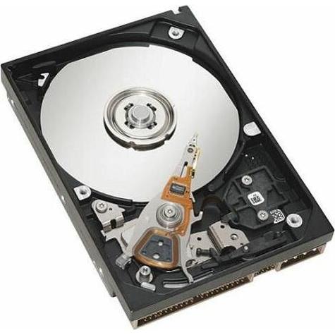 IBM 1TB 7.2K 3.5-inch NL HDD for D (1 TB, 3.5"), Festplatte