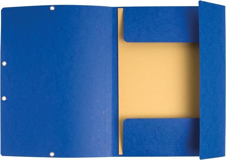 Image du produit Exacompta Chemise à élastique 3 rabats carte lustrée 355gm2 - A4 - Couleurs assorties (A4, 3 x)