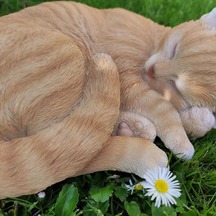 Actual product image Decorative figure cat sleeping