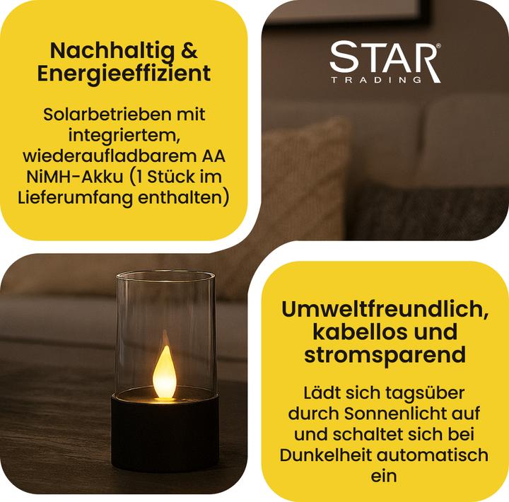 Image du produit Star Trading Puloun (1x)