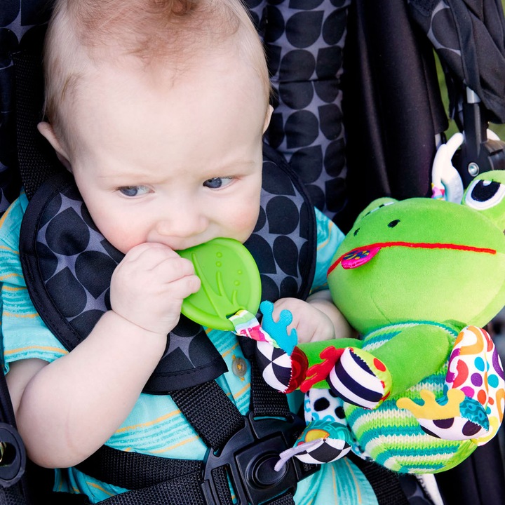 Actual product image Tomy Lamaze Jibber Jabber Jake