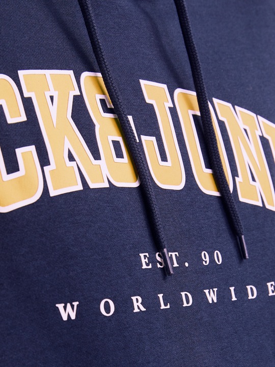 Produktbild Jack & Jones Jjecaleb Varsity Sweat Hood Noos Pls (XXL)