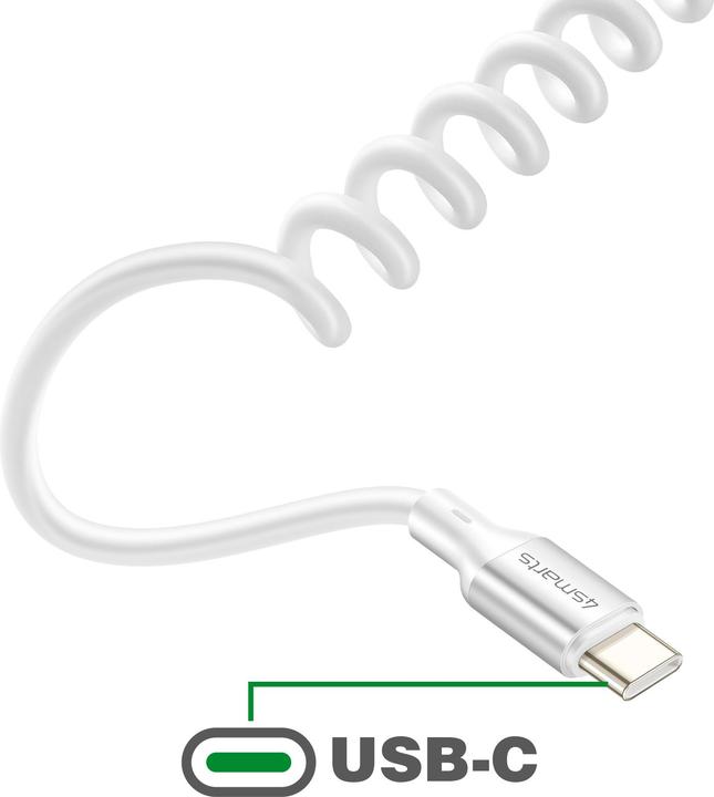 Produktbild 4smarts 541600 (0.50 m, 100 W)