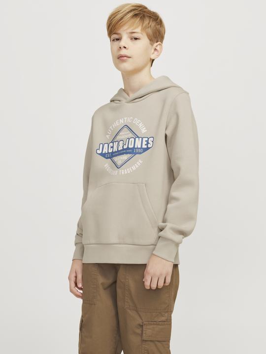 Immagine prodotto Jack & Jones JJELOGO SWEAT HOOD 2 COL 24/25 NOOS JNR (128)