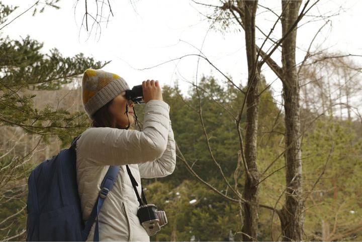 Immagine prodotto Pentax Binocolo Jupiter 8x40 (8 x, 40 mm)