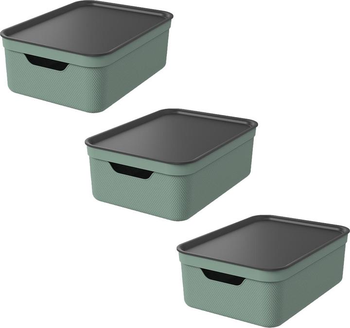 Image du produit Rotho Jive (27.80 cm, 10 l, 3x)